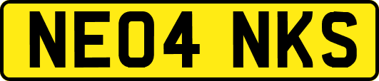 NE04NKS