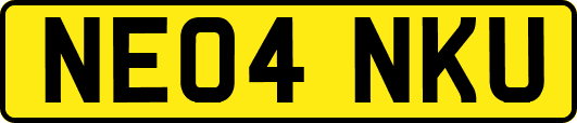 NE04NKU