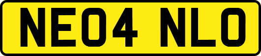 NE04NLO