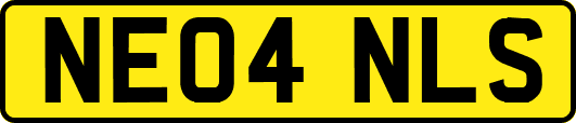 NE04NLS