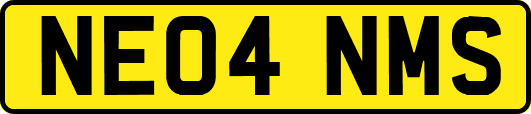 NE04NMS