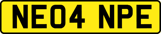 NE04NPE