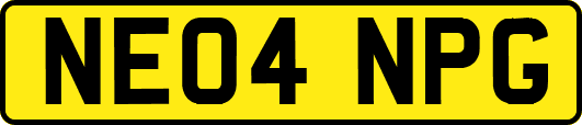 NE04NPG