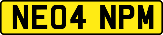 NE04NPM