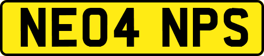 NE04NPS