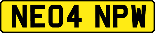 NE04NPW