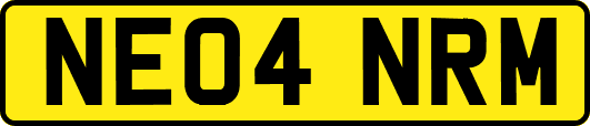 NE04NRM