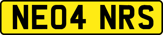 NE04NRS