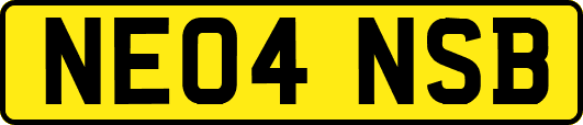 NE04NSB
