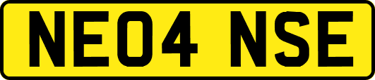 NE04NSE