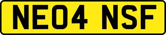 NE04NSF