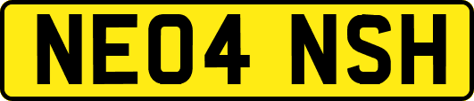 NE04NSH