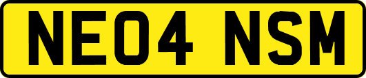 NE04NSM