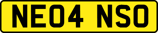 NE04NSO