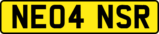 NE04NSR