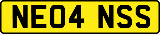 NE04NSS