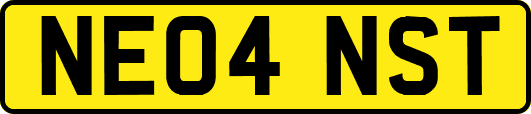 NE04NST
