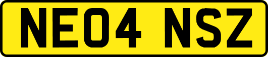 NE04NSZ