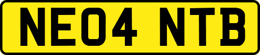 NE04NTB