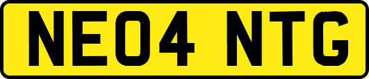 NE04NTG