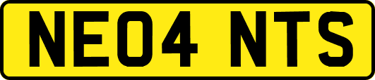 NE04NTS