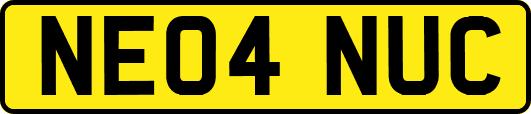 NE04NUC