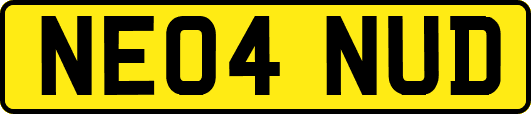 NE04NUD