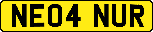 NE04NUR