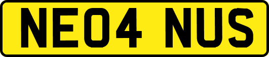 NE04NUS