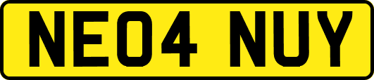 NE04NUY