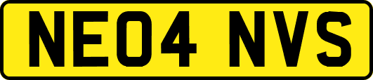 NE04NVS