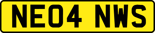 NE04NWS