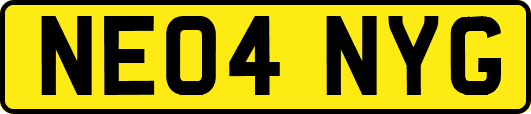 NE04NYG