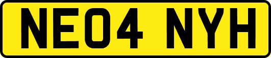 NE04NYH