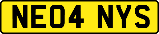 NE04NYS