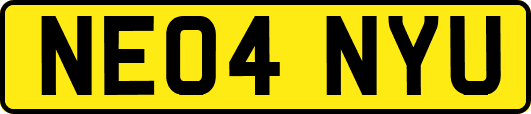 NE04NYU