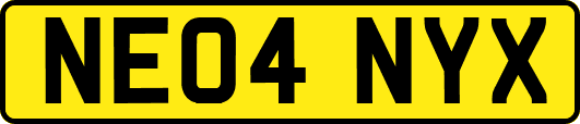 NE04NYX