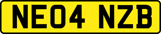 NE04NZB