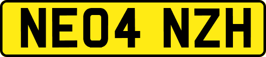 NE04NZH