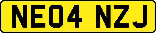NE04NZJ