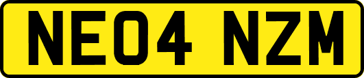 NE04NZM
