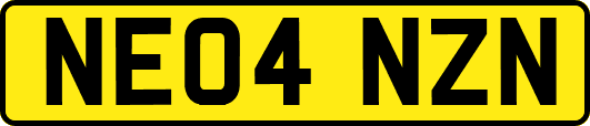 NE04NZN