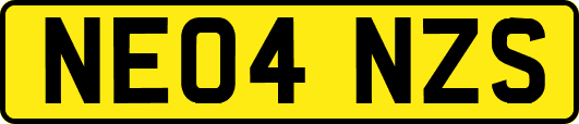 NE04NZS