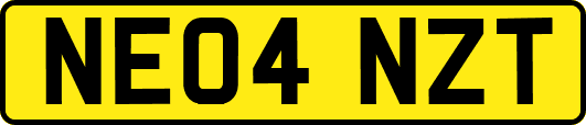 NE04NZT