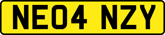 NE04NZY