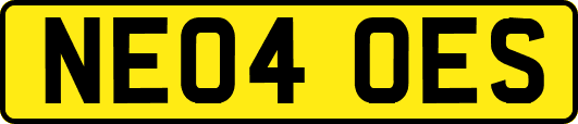 NE04OES