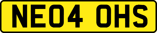 NE04OHS