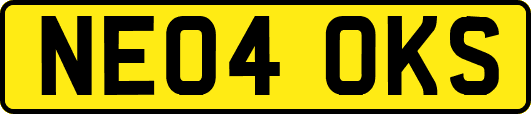 NE04OKS