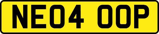NE04OOP