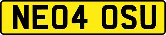 NE04OSU
